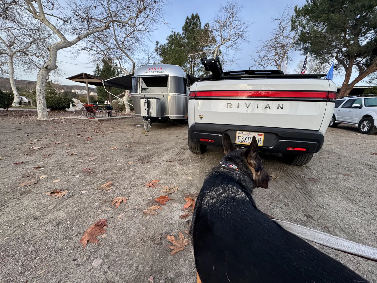 Wattreach — 20′ Airstream Caravel at Santee, CA, February 2025